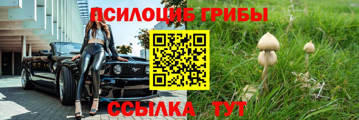 Галлюциногенные грибы GOLDEN TEACHER  Гусиноозёрск 