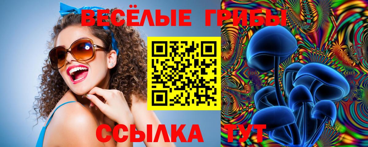 Псилоцибиновые грибы ЛСД Гусиноозёрск